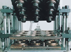 Compression Molding