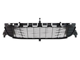 Automotive Plastic Front Grilles