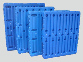 Blow Molded Trays